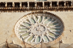 Cattedrale-Trani-15