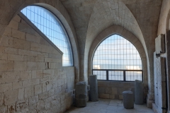 Cattedrale-Trani-4