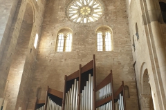 Cattedrale-Trani-7